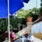 Asteri Studios_best deals_Hotel_Ionian Islands_Zakinthos_Kalamaki