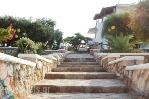 Studios Maniati_best prices_in_Hotel_Peloponesse_Lakonia_Elafonisos