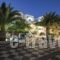 Petra Nera_holidays_in_Hotel_Cyclades Islands_Sandorini_Sandorini Chora