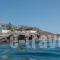 Cypriana Apartments_best deals_Apartment_Crete_Lasithi_Anatoli