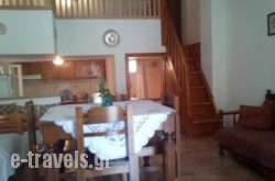 Kavadina Studios_s __3