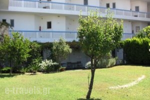 Karistos Mare Apartments_best prices_in_Apartment_Central Greece_Evia_Karystos