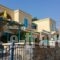 Sevasti Studios_holidays_in_Hotel_Dodekanessos Islands_Kalimnos_Kalimnos Rest Areas