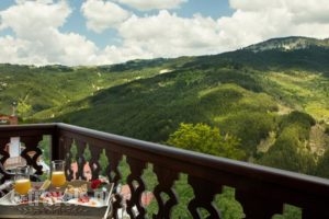 Aroma Dryos Eco & Design Hotel_accommodation_in_Hotel_Epirus_Ioannina_Metsovo