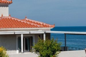 Little Bird Lesvos_best deals_Hotel_Aegean Islands_Lesvos_Petra