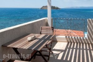 Little Bird Lesvos_holidays_in_Hotel_Aegean Islands_Lesvos_Petra