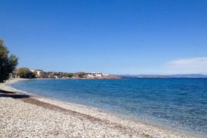 Nitelli'S Houses_holidays_in_Hotel_Aegean Islands_Lesvos_Vatera