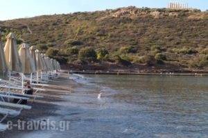 Aegeon Beach Hotel_best deals_Hotel_Central Greece_Attica_Athens