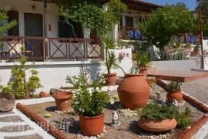 Sonia Studios_lowest prices_in_Hotel_Aegean Islands_Lesvos_Polihnitos