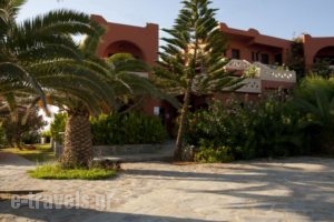 Georgia Vicky Studios & Apartments_best deals_Apartment_Crete_Chania_Akrotiri