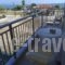 Baka's House Apartments_accommodation_in_Apartment_Macedonia_Halkidiki_Nea Roda