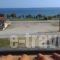 Baka's House Apartments_travel_packages_in_Macedonia_Halkidiki_Nea Roda