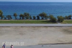 Baka's House Apartments_best prices_in_Apartment_Macedonia_Halkidiki_Nea Roda