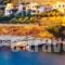 Villa Erotiki_lowest prices_in_Villa_Cyclades Islands_Andros_Andros City