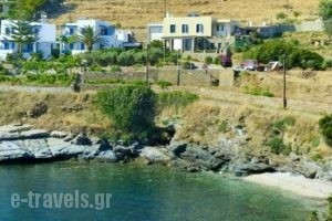 Villa Erotiki_travel_packages_in_Cyclades Islands_Andros_Andros City