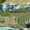 Villa Erotiki_accommodation_in_Villa_Cyclades Islands_Andros_Andros City
