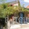 Apartment Dionysos_best prices_in_Apartment_Aegean Islands_Lesvos_Mythimna (Molyvos