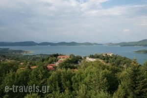 Thea Guesthouse_lowest prices_in_Hotel_Thessaly_Karditsa_Neochori