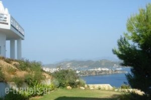 Kivo Art & Gourmet Hotel_best prices_in_Hotel_Sporades Islands_Skiathos_Skiathos Chora