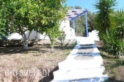 Stefanos Garden_s __1