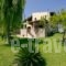 Villa Russelia_best deals_Villa_Dodekanessos Islands_Halki_Halki Chora