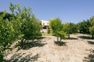 Villa Russelia_holidays_in_Villa_Dodekanessos Islands_Halki_Halki Chora