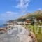 Elenas Apartments_holidays_in_Apartment_Ionian Islands_Paxi_Paxi Chora