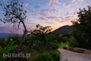 Melidoni X Village_best deals_Hotel_Crete_Rethymnon_Rethymnon City