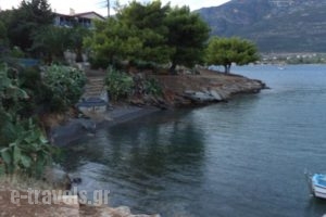 Trizonia Beach Hotel_best prices_in_Hotel_Central Greece_Fokida_Eratini
