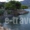 Trizonia Beach Hotel_best prices_in_Hotel_Central Greece_Fokida_Eratini