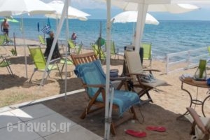Kassimiotis_holidays_in_Hotel_Thessaly_Magnesia_Pilio Area