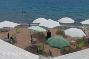 Kassimiotis_best deals_Hotel_Thessaly_Magnesia_Pilio Area