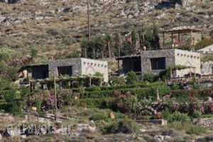 Terra Minoika Villas_lowest prices_in_Villa_Crete_Lasithi_Sitia