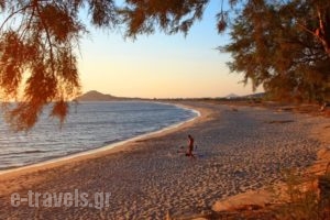 Thalassa Naxos_best prices_in_Hotel_Cyclades Islands_Naxos_Naxos chora