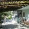 Nina Studios_holidays_in_Room_Dodekanessos Islands_Karpathos_Lakki