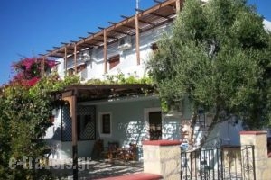 Nina Studios_best prices_in_Room_Dodekanessos Islands_Karpathos_Lakki