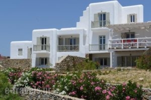 Elia Sun Villas_best deals_Villa_Cyclades Islands_Mykonos_Elia