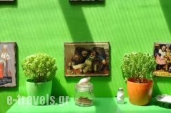 Dioskouros Hostel_s __1