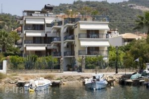 Drossinos Studios_accommodation_in_Hotel_Piraeus Islands - Trizonia_Trizonia_Trizonia Rest Areas