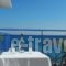 Akti Pension_best prices_in_Hotel_Aegean Islands_Samos_Samosst Areas