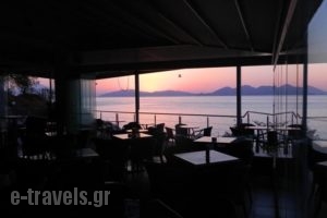 Akti Pension_holidays_in_Hotel_Aegean Islands_Samos_Samosst Areas