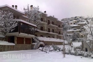 Menelais_accommodation_in_Hotel_Central Greece_Evritania_Fourna
