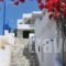 Hotel Ephi_travel_packages_in_PiraeusIslands - Trizonia_Aigina_Aigina Rest Areas