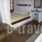 Alexandros Apartments_best deals_Apartment_Macedonia_Halkidiki_Nea Moudania