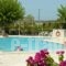 Hotel Elina_lowest prices_in_Hotel_Ionian Islands_Paxi_Paxi Chora