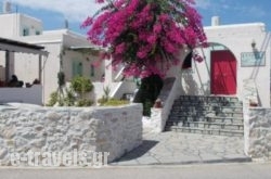 Astoria Apartments in Naousa, Paros, Cyclades Islands