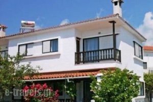 Filius Tellis Appartments_best prices_in_Apartment_Macedonia_Halkidiki_Neos Marmaras