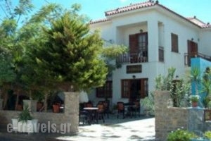 Labros_travel_packages_in_Aegean Islands_Samos_Kokkari