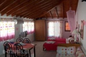 Labros_accommodation_in__Aegean Islands_Samos_Kokkari