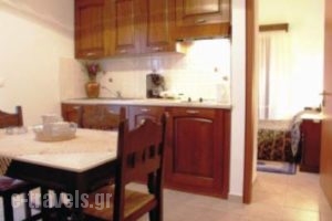 Xenios Zeus_lowest prices_in_Room_Dodekanessos Islands_Patmos_Skala